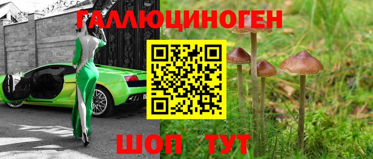 Галлюциногенные грибы MAGIC MUSHROOMS  Вход с VPN  Зеленодольск  Галлюциногенные грибы GOLDEN TEACHER 