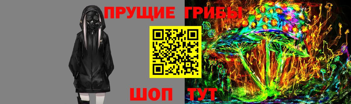 Псилоцибиновые грибы Cubensis Зеленодольск